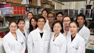 Defu Zeng Lab Team