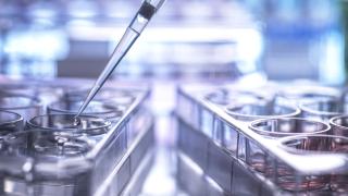 Close-up of sample being place into microplate