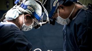 chen-and-feldman-performing-surgery