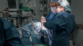 feldman-badie-car-t-brain-surgery
