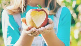 K-12 student outreach and internships