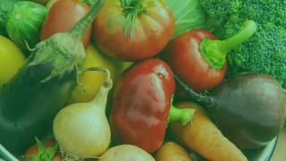 Urban gardens and farmers markets