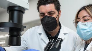 Two researchers in a lab