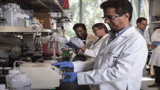 Fueguer Lab