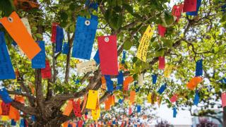 wishing tree with colorful wishing tags