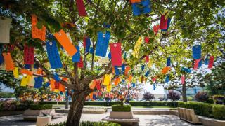 wishing tree with colorful wishing tags