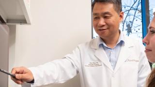 Zhao Wang Lab