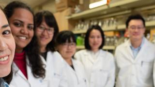 six researchers in a lab