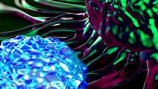 Car-t cell image