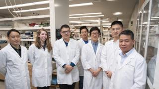 Zhao Wang Lab Team Banner