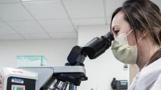 Researcher in a lab