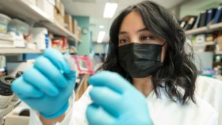 Researcher in a lab