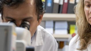 using the microscope in the laboratory