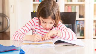 A child studying intently