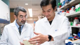 Alberto Pugliese, M.D. Director of The Wanek Family Project for Type 1 Diabetes