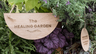 Hope and Healing Garden