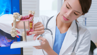 A doctor uses a colon model to explain Colon Cancer during Screening