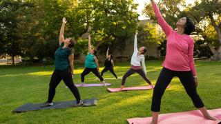 several people participating in wellness yoga in a park