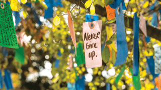 Wishing Tree with Never Give Up Tag