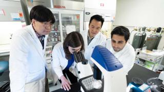 Researchers in laboratory viewing into microscope