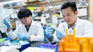 City of Hope scientists work with lab samples