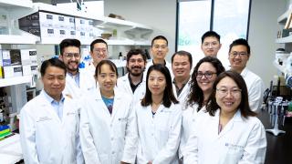 Headshot of all members of Zhao Wang Lab 2024