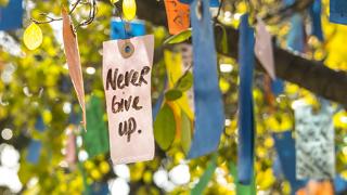 Handwritten note on City of Hope's wishing tree reads "Never Give Up," symbolizing hope and perseverance.