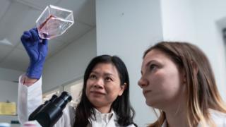 Researchers focused in lab