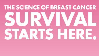 Novel Treatments and Superior Outcomes make City of Hope a Leader in Breast Cancer Detection and Care 
