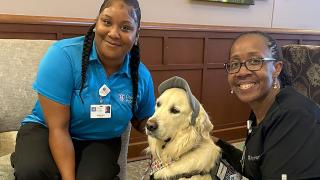Image of Oliver, the golden therapy dog, with two women