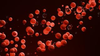 blood cells