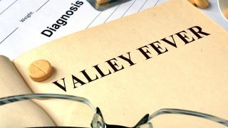 image of the edge of a piece of paper with the words "Valley Fever" 