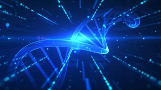 DNA Helix and Light High-Speed Tunnel