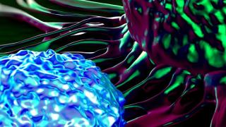 City of Hope Orange County identifies key factors for success in CAR T cell therapy