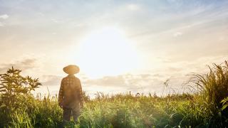 image of a farmer walking in a field after sunrise