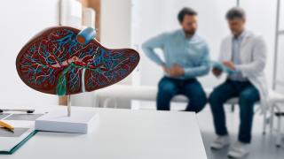 image of a doctor talking to a patient in the background, with a model of the heart in the foreground