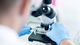 A researcher examining a sample through a microscope