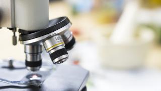 A microscope used during Mohs surgery on the nose 