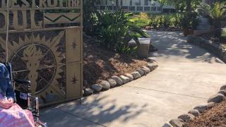 Alyssa Kelly COH campus