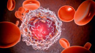 A cancer cell being attacked by precision medicine inhibitors
