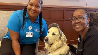 banner-oliver-therapy-dog