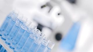 Test Tubes in Lab