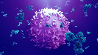 CAR T vs. Stem Cell Transplant Blog