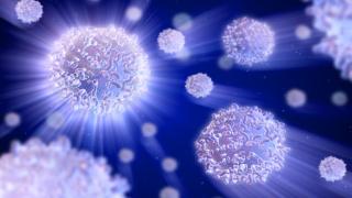 3D rendering of white blood cells