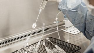 Study unveils ‘plug-and-play’ CAR T technology designed to adapt as cancer changes 