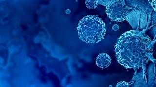 AACR 2021 Physician News banner