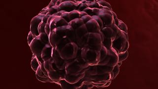 Microscopic cancer cell single red - large hi res