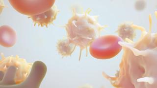 CAR T cells 1024x475