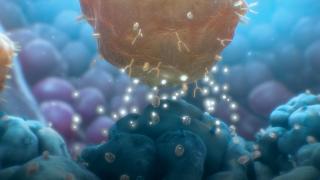 Purple blue and orange CAR T cells 1024x475