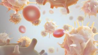 CAR T Cells